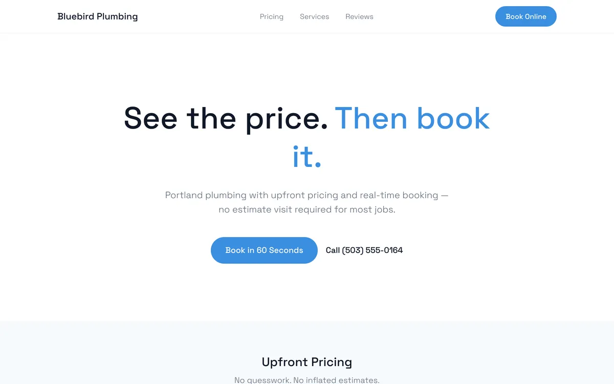 Bluebird Plumbing homepage preview